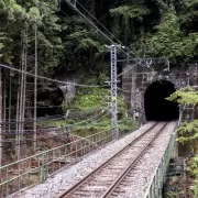 Haos uriaș în Germania. E vorba de un român