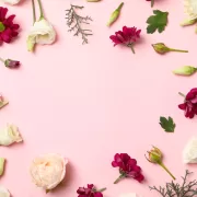 Flori pe care nu ai voie să le oferi cadou. Nu trebuie să le dăruiești de 8 martie