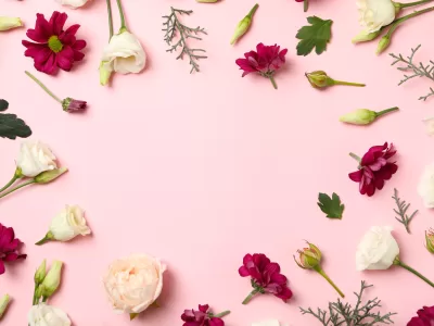 Flori pe care nu ai voie să le oferi cadou. Nu trebuie să le dăruiești de 8 martie