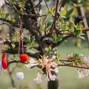 E oficial! Noua prognoză meteo de Paște și Florii este aici