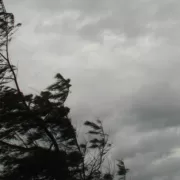 Alertă meteo în toată țara. Vântul va face ravagii