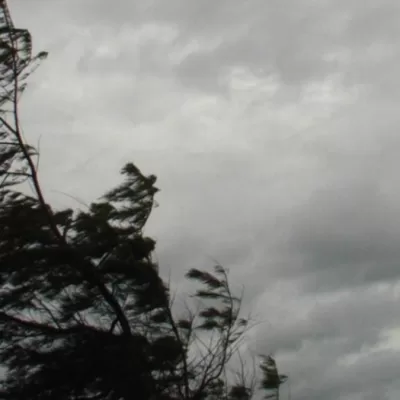 Alertă meteo în toată țara. Vântul va face ravagii