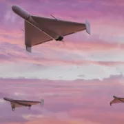 Alertă maximă la graniță! S-a dat RO-Alert