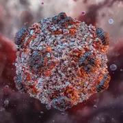 Alerta în cazul hantavirus ia amploare! Ce măsuri iau autoritățile române